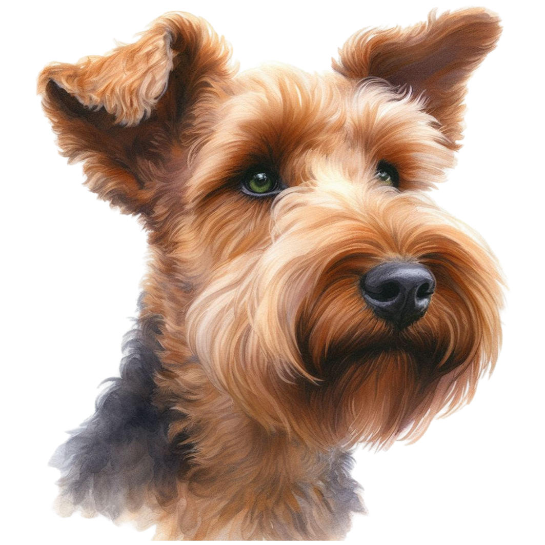 Sticker Hundekopf Irisch Terrier